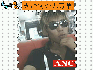 情e仔仔